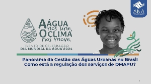 Panorama da gestão das águas urbanas no Brasil : como está a regulação dos serviços de DMAPU?
