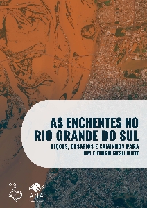 As enchentes no Rio Grande do Sul : lições, desafios e caminhos para um futuro resiliente