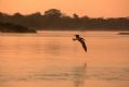 Região Hidrográfica Tocantins-Araguaia : Goiás, Tocantins, Pará, Maranhão, Mato Grosso e Distrito Federal