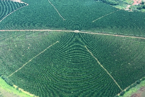 Sobrevoo à bacia do rio Grande