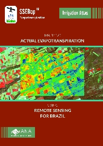 Mapping actual evapotranspiration using remote sensing [recurso eletrônico]