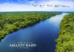 Elaboration of the report on the status of water quality in the Amazon basin [recurso eletrônico] : executive summary