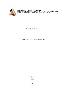 A política brasileira do desastre